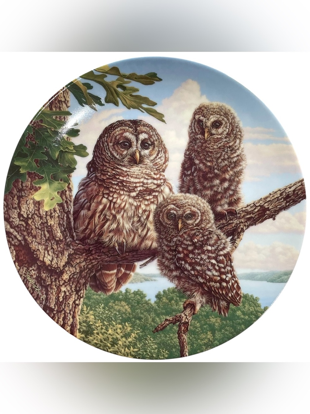 Vintage 1990s Perfect Perch Barred Owls Collectors Plate by Artist Jim Beaudoin
